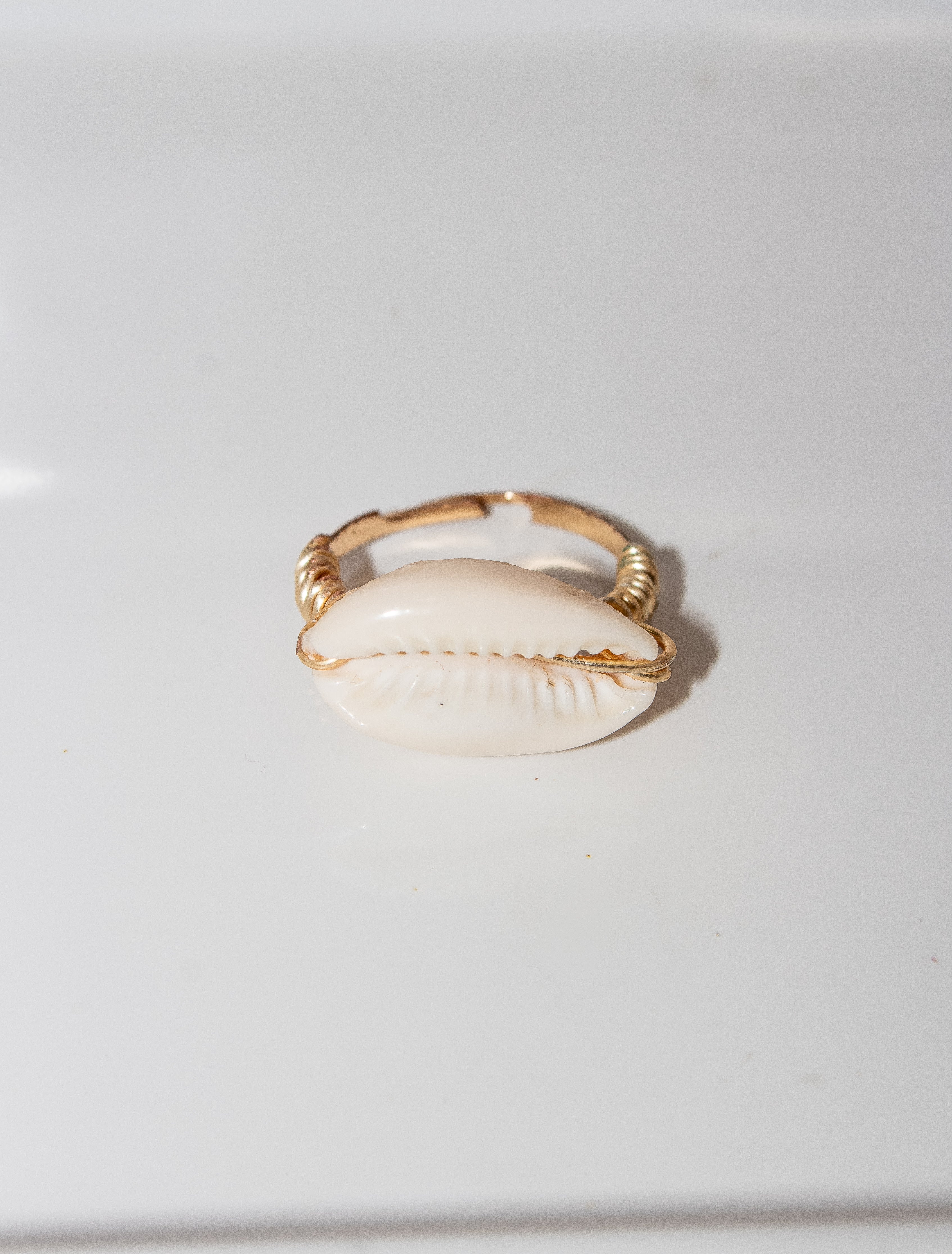 Gold Cowrie Shell Adjustable Ring